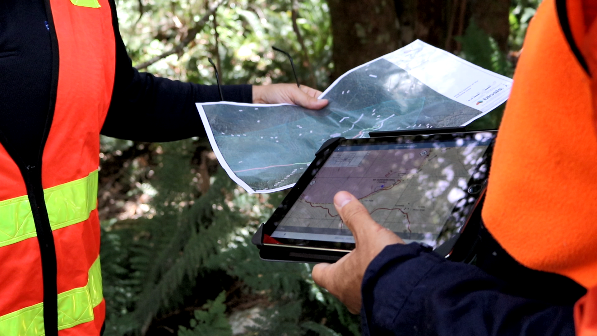 Two project team members looking at ground truthing maps on paper and ipad at Mt Donna Buang
