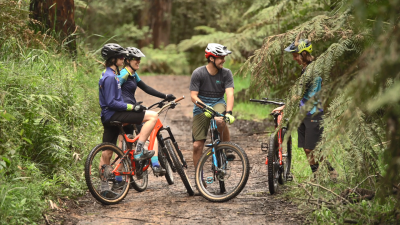 Four mountain bikers talking happily mid ride at Silvan surrounded by green ferns and grass