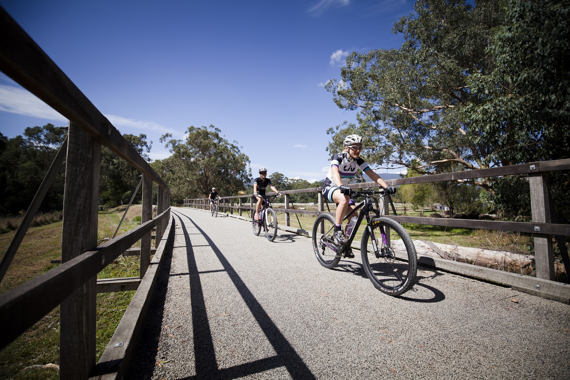 Three bike riders on Lilydale to Warburton rail trail bridge on sunny clear day with blue skies