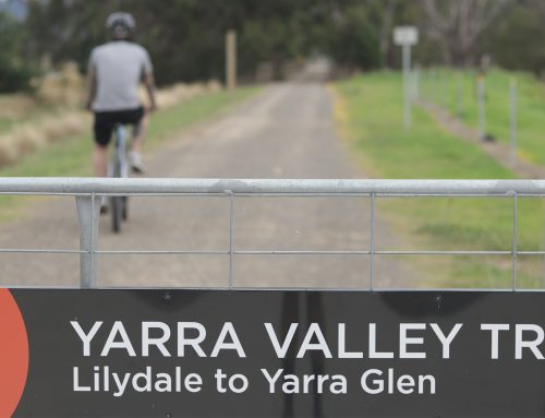 Yarra Valley Trail Update – March 2021