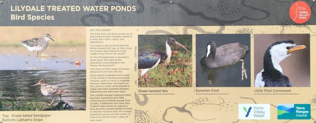 A sign containing information about birds