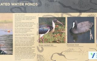 bird information sign