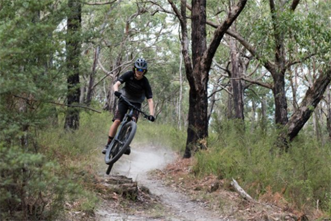A mountain bike rider rides through a densely packed forest