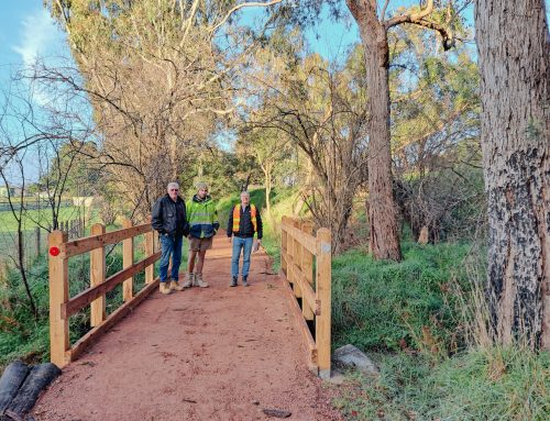 Yarra Valley Trail Northern Loop Stage 2A – Project Update