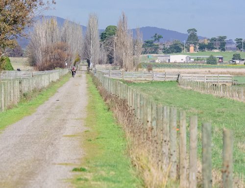 Council Secures Government Funding for Yarra Valley Trail